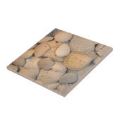 Seashells Tile Fliese (Seite)