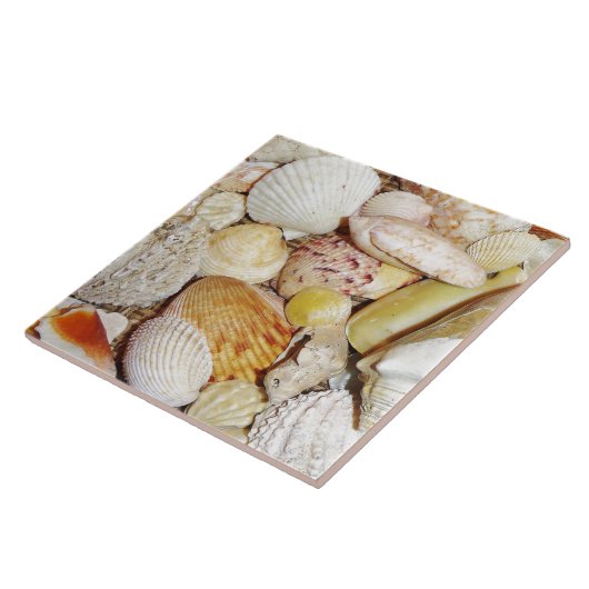 Seashells Tile Fliese (Seite)