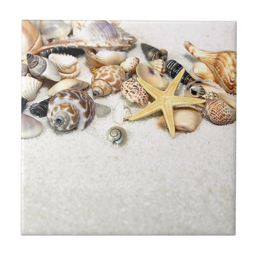 Seashells Tile Fliese (Vorderseite)