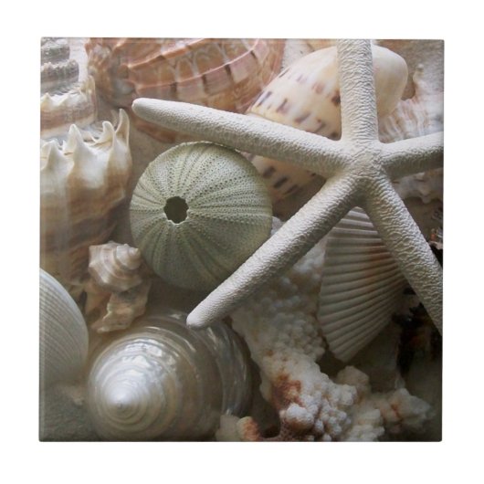 Seashells Tile Fliese (Vorderseite)