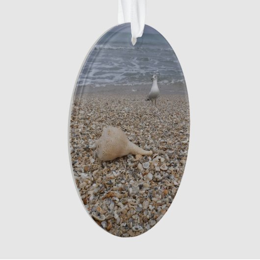 Seashells und Seemöven Ornament (Vorderseite)