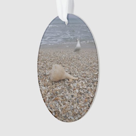 Seashells und Seemöven Ornament (Vorderseite)