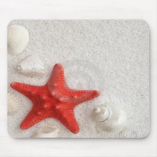 Seashells und Starfish Mousepad (Vorne)