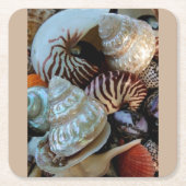 Seashells Untersetzer (Vorderseite)