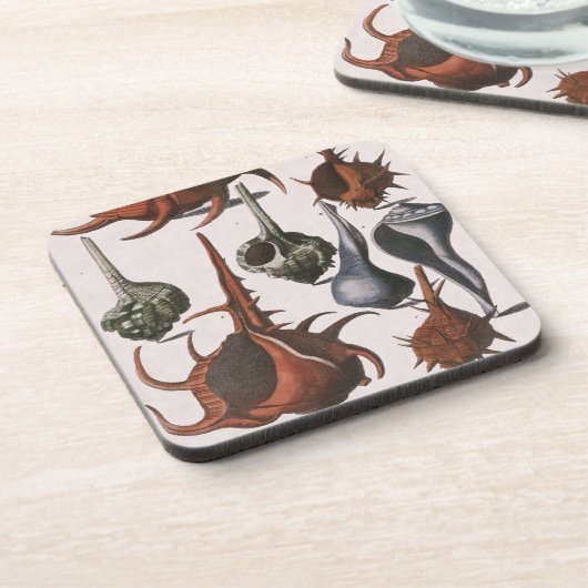 Seashells, Vintage Sea Shells, Ocean Marine Life Getränkeuntersetzer (Linke Seite)