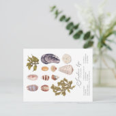 Seashore Life Postcard Feiertagspostkarte (Stehend Vorderseite)