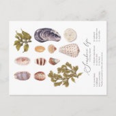 Seashore Life Postcard Feiertagspostkarte (Vorderseite)