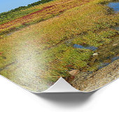 Seashore Marsh Foto Print (Ecke)