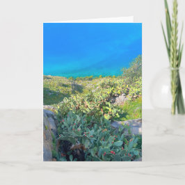 Seaside Cactus Nafplion Griechenland Karte