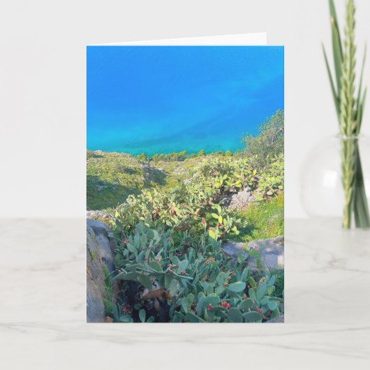 Seaside Cactus Nafplion Griechenland Karte (Vorderseite)