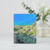 Seaside Cactus Nafplion Griechenland Postkarte (Stehend Vorderseite)