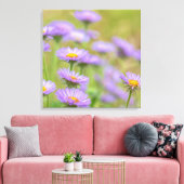 Seaside Daisies Leinwanddruck (Insitu (Wohnzimmer))
