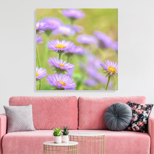 Seaside Daisies Leinwanddruck (Insitu (Wohnzimmer))