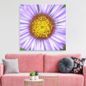 Seaside Daisy Leinwanddruck (Insitu (Wohnzimmer))