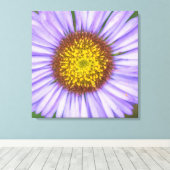 Seaside Daisy Leinwanddruck (Insitu (Holzboden))