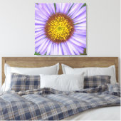 Seaside Daisy Leinwanddruck (Insitu (Schlafzimmer))