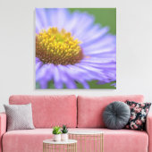 Seaside Daisy Leinwanddruck (Insitu (Wohnzimmer))