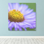 Seaside Daisy Leinwanddruck (Insitu (Holzboden))