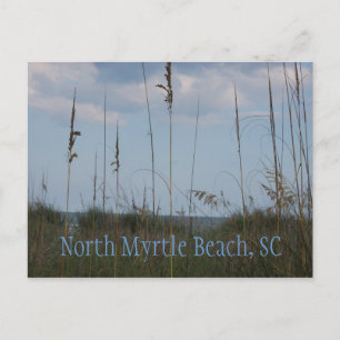 Seaside Dreams - North Myrtle Beach, SC Postkarte