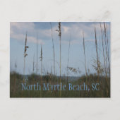 Seaside Dreams - North Myrtle Beach, SC Postkarte (Vorderseite)