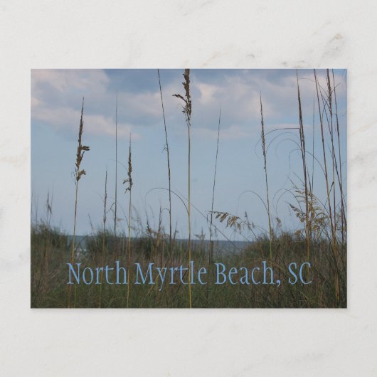 Seaside Dreams - North Myrtle Beach, SC Postkarte (Vorderseite)