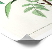 Seaside Finish by Audubon Poster (Ecke)