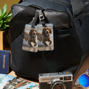 "Seaside Fun: Cocker Spaniel beim Spielen im Ozean Gepäckanhänger