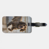 "Seaside Fun: Cocker Spaniel beim Spielen im Ozean Gepäckanhänger (Rückseite horizontal)