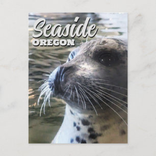 Seaside, Oregon Baby Seehund Seelöwe Postkarte