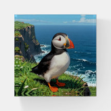 Seaside Puffin Illustration  
