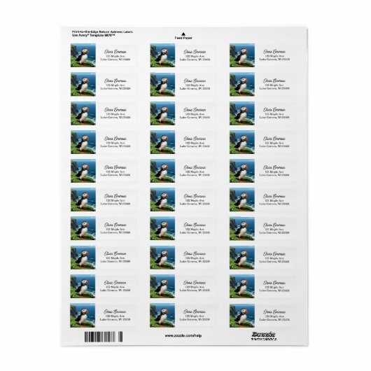 Seaside Puffin Illustration | Personalized (Vorne)