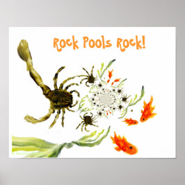 Seaside Rock Pool Funny Crabs Fisch Poster
