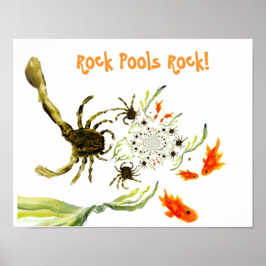 Seaside Rock Pool Funny Crabs Fisch Poster (Vorne)