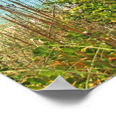 Seaside Sanibel Poster (Ecke)