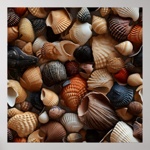 Seaside Seashells Art Poster