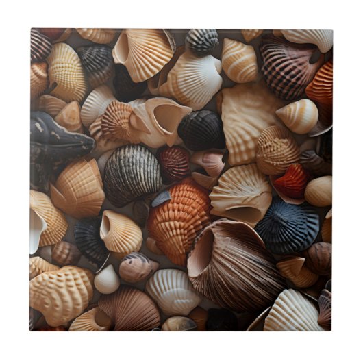 Seaside Seashells Keramik Tile Fliese (Vorderseite)