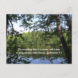 Season Ecclesiastes Lake Forest Postkarte