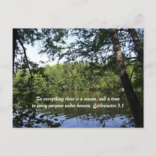 Season Ecclesiastes Lake Forest Postkarte (Vorderseite)