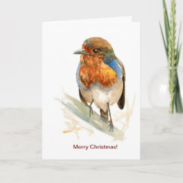 Seasonal greeting card with a European Robin Karte