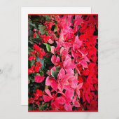 Seasonal Splendour Feiertagskarte (Vorne/Hinten)