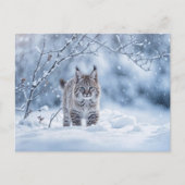 Seasons Greeting Holiday Bobcat Snow Feiertagspostkarte (Vorderseite)