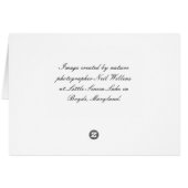 Seasons Greetings Card (lake & woods photo scene) (Rückseite Horizontal)