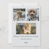 Seasons Greetings Script Photo Card Feiertagskarte (Rückseite)