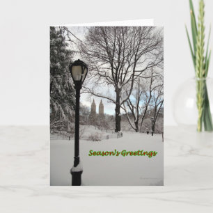 Seasons Greetings Snowy Lamp in Park Feiertagskarte