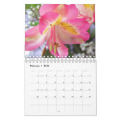 Seasons-Kalender Kalender (Feb 2026)