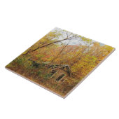 Seasons Pass Fliese (Seite)