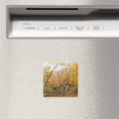 Seasons Pass Magnet (In Situ (Geschirrspüler))