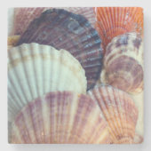 Seasshells Stone Untersetzer (Vorderseite)