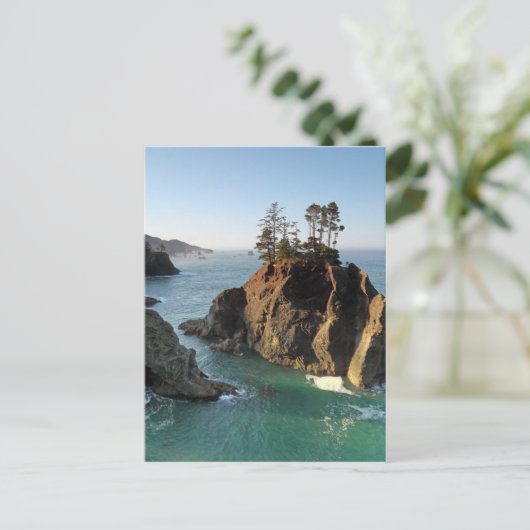 Seastack, Samuel Boardman Staat Park, Brookings, Postkarte (Stehend Vorderseite)