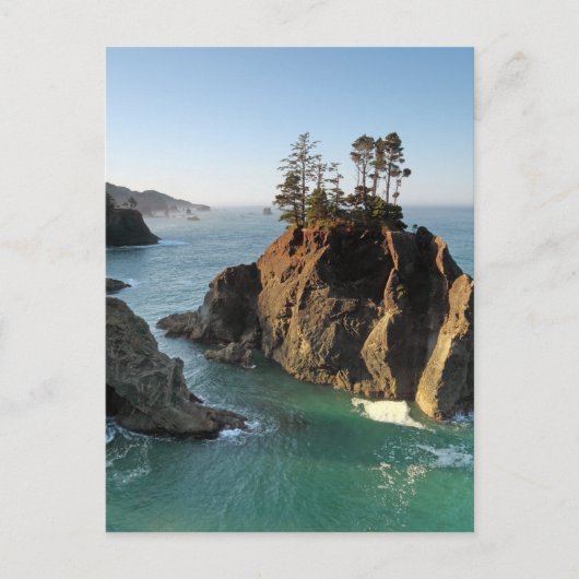 Seastack, Samuel Boardman Staat Park, Brookings, Postkarte (Vorderseite)